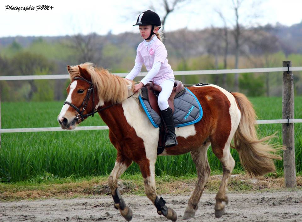 Epreuve préparatoire 50 cm au concours de Tinténiac près de Rennes