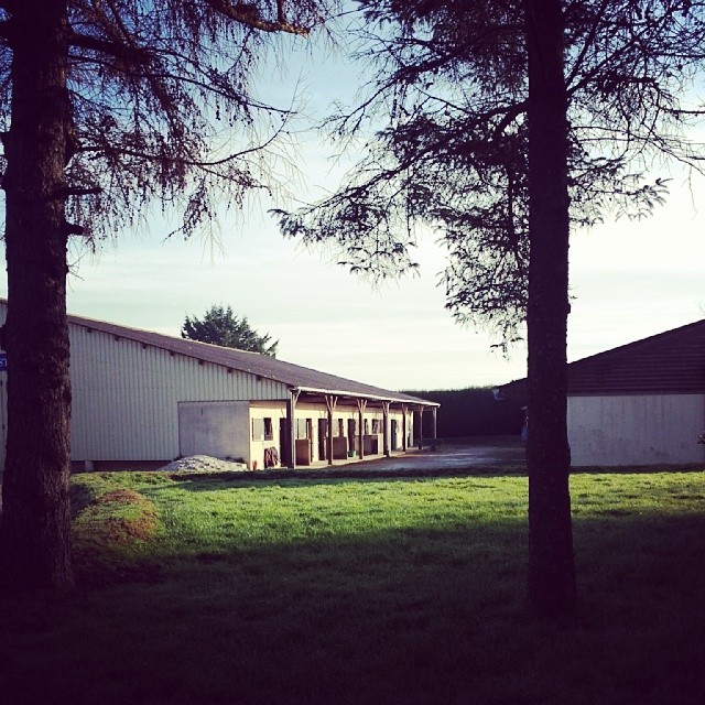 Parrainage poney-club centre équestre de Tinténiac près de Rennes