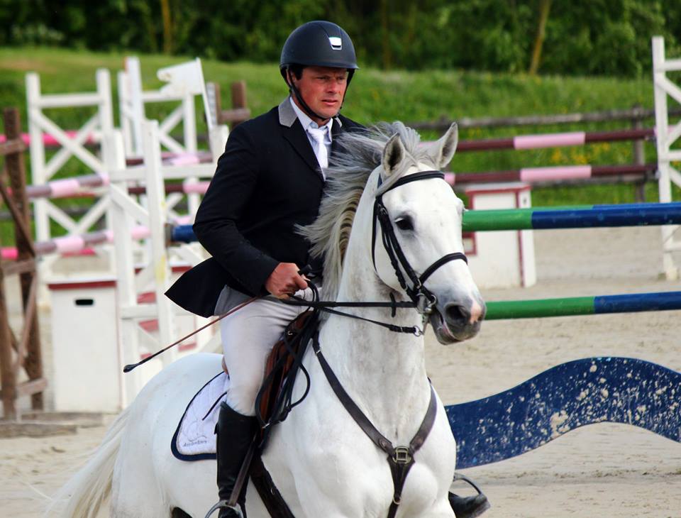 Photo Godess jument 8 ans x CICERO Z