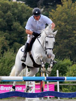 Photo Godess jument 8 ans x CICERO Z