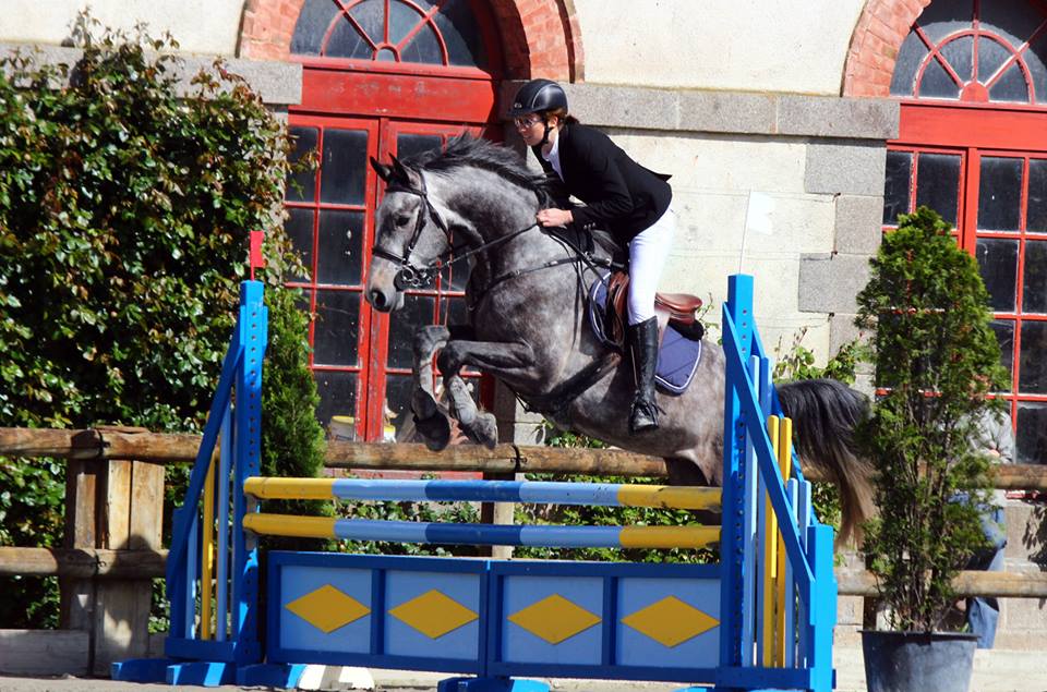 Actualités André Sport Equestre (archives 1er semestre 2014) Actualités André Sport Equestre (archives 1er semestre 2014)