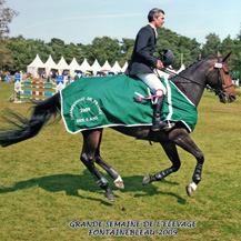 Ecurie jeunes chevaux près de Rennes- Quandice de Kerglenn à la Grande Finale à Fontainebleau - André Sport Equestre : formation et valorisation de chevaux de sport - Commerce
