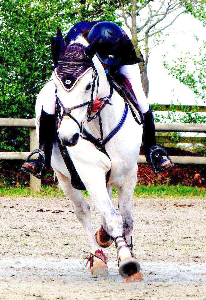 King Express et Claire, vice-champions de Bretagne Poney 1 2012 - André Sport Equestre