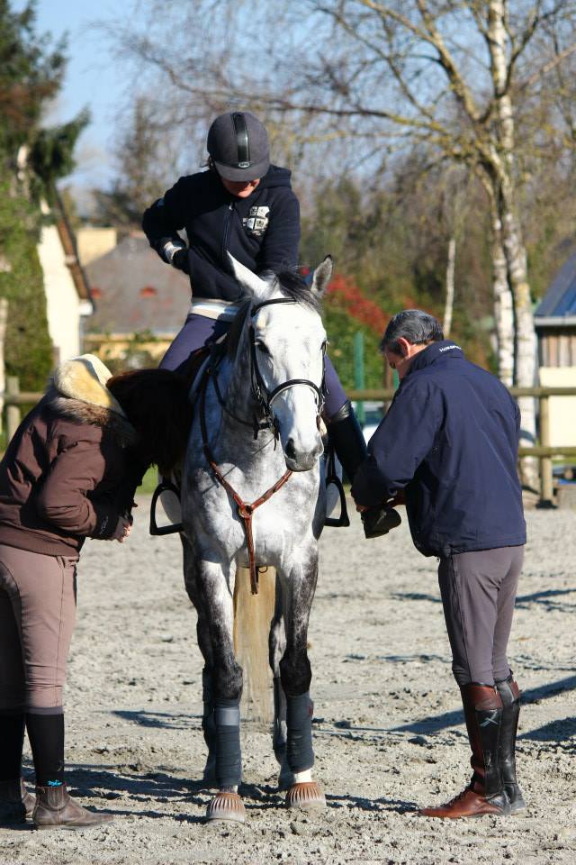 Stage préparation saison de concours organisé par André Sport Equestre - Tinténiac près de Rennes Ille et Vilaine (35) en Bretagne