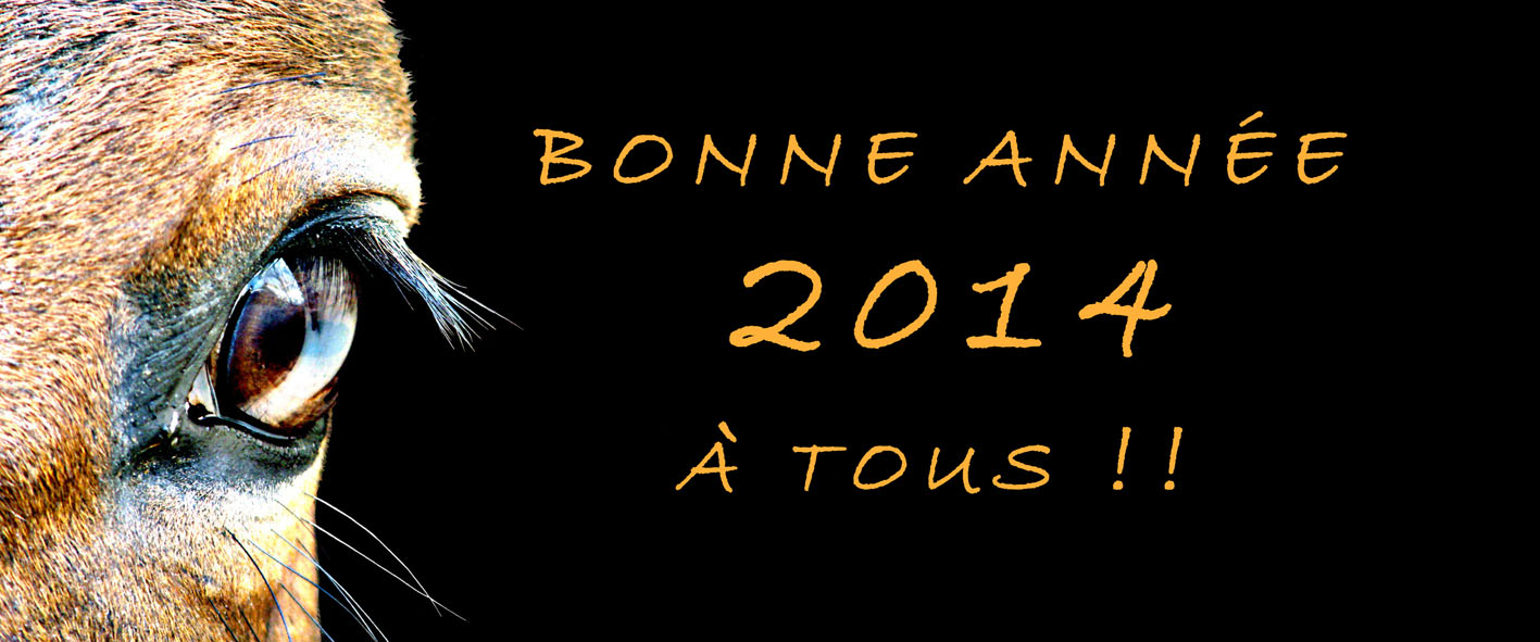 Carte de voeux 2014 d'André Sport Equestre !