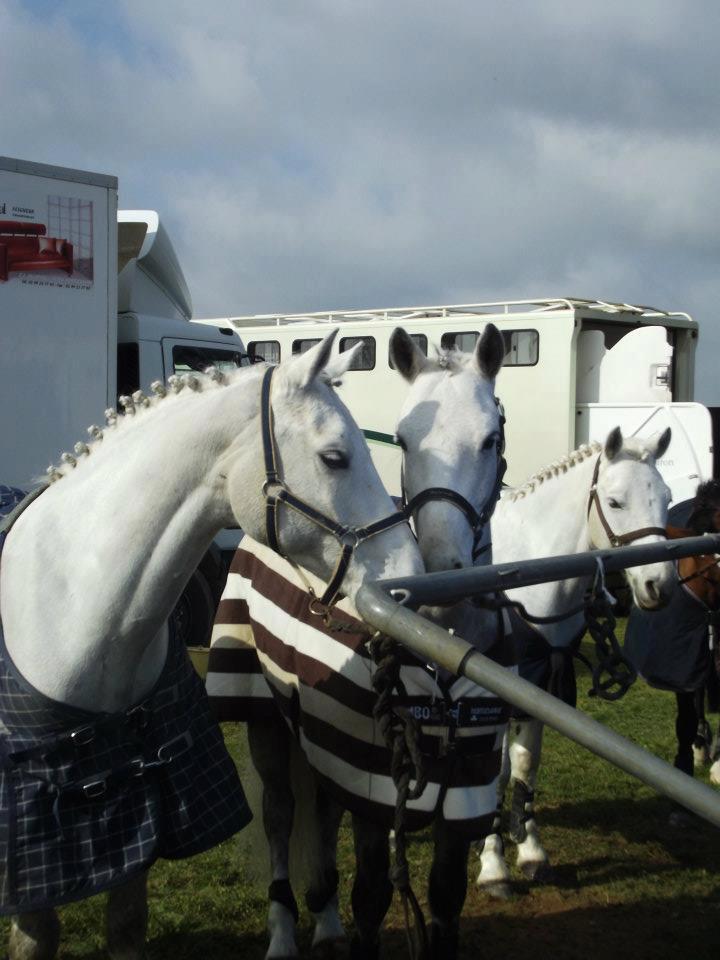 King et Bruckless en concours Club à l'extérieur