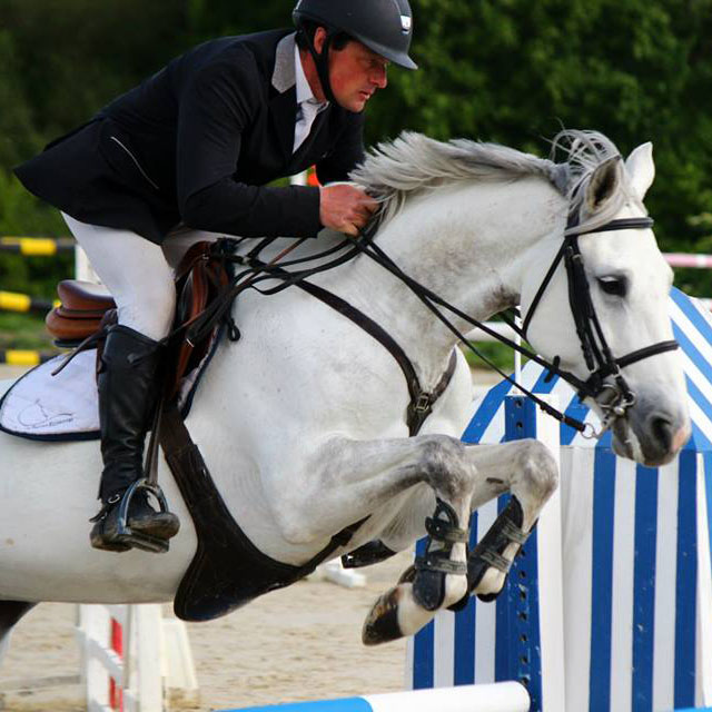 Ecurie chevaux de sport près de Rennes à vendre - André Sport Equestre - Commerce