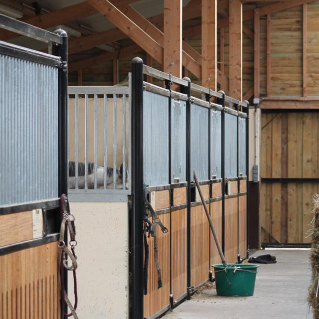 Ecurie de propriétaire près de Rennes - Installations de qualité - André Sport Equestre : pension / coaching à Tinténiac (10 minutes au nord de Rennes)