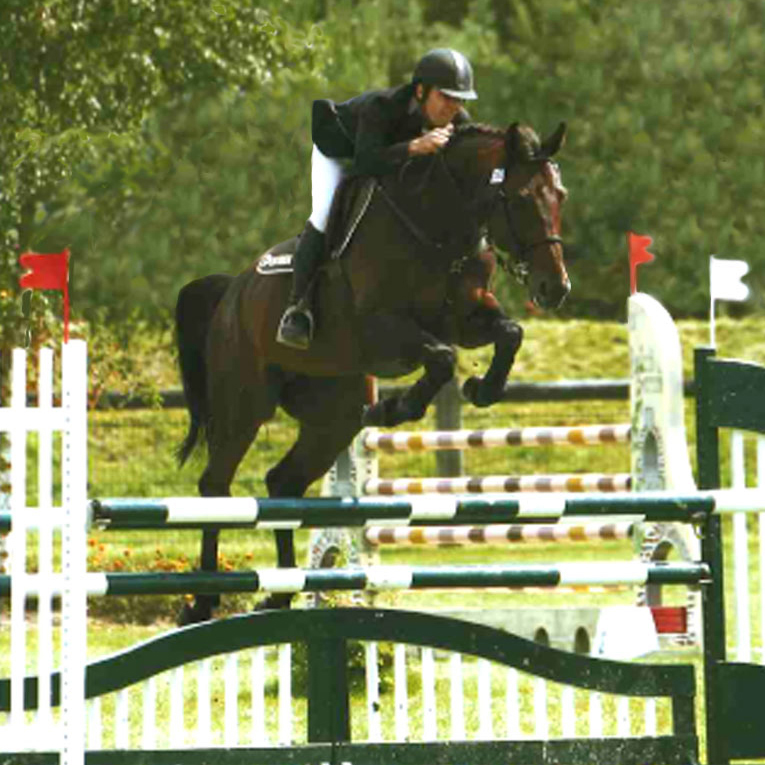 Formation et valorisation jeunes chevaux près de Rennes- Pasha du Gué formé par Erwan André - André Sport Equestre 