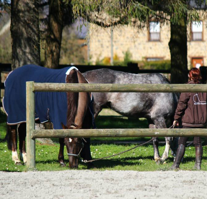 Ecurie de propriétaire près de Rennes - Marine et Ilton, champions de France Amateur 2 2012 - André Sport Equestre : pension / coaching à Tinténiac (près de Rennes)